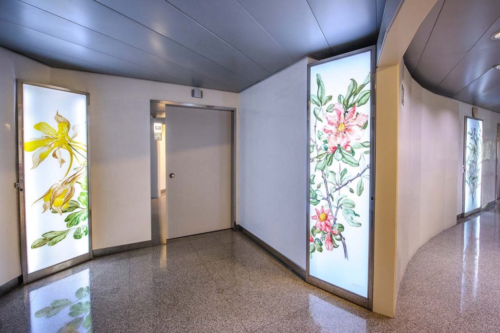 Fotografía-Botánica-Colette-Martin-Clínica-Rotger-Hospital-Mallorca-Sexta-Planta