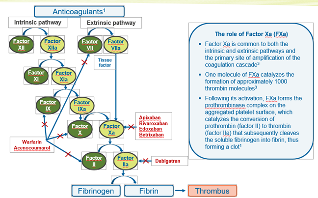Anticoagulantes