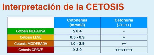 Interpretación de la Cetosis